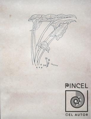 Planta y gusano por Amighetti, Francisco