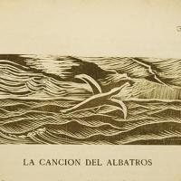 La canción del albatros por Amighetti, Francisco