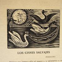 Los cisnes salvajes II por Amighetti, Francisco