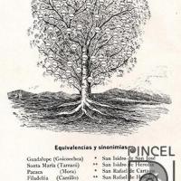 Árbol Histórico de los pueblos de Costa Rica por Baixench, Pablo