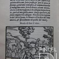Modo di fare il vino. (Manera de hacer el vino)Libro: "La Historia del Mondo Nvovo" por Benzoni, Girolamo (extranjero)