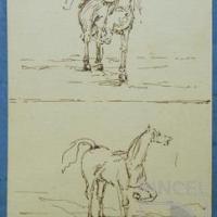 Sin título (caballos) por Echandi, Enrique