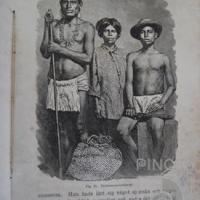 Talamanca - indianer (Indios de Talamanca) Libro: "Resa I Central-Amerika 1881-1883" por Falander, I (extranjero)