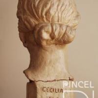 Cabeza apartir de una copia de escultura griega de la Escuela de Bellas Artes por Fonseca Boraschi, Cecilia