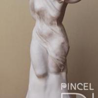 Desnudo por Fonseca Boraschi, Cecilia