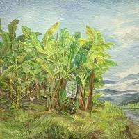 Bananal de Costa Rica por Fournier, Cristina