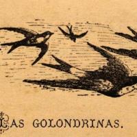 Las golondrinas por Góngora, Federico