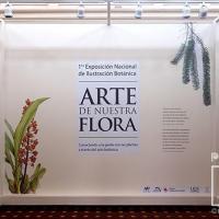 Exposición en el Museo Calderón Guardia por Rodríguez, Rafael Lucas